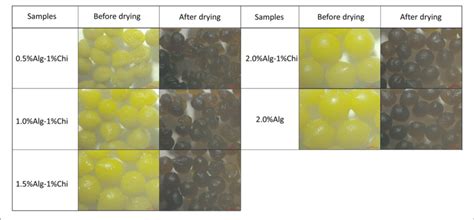 Digital Images Of Wet And Dry Alginate Chitosan Hydrogel Beads