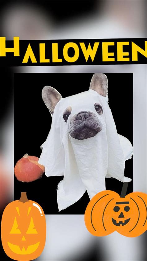 Frenchie Halloween 🐶🎃👻