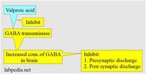 Valproic Acid Valproate Level Labpedia Net