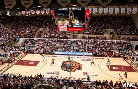 Montana Griz Basketball Tickets - Musser Bros Inc