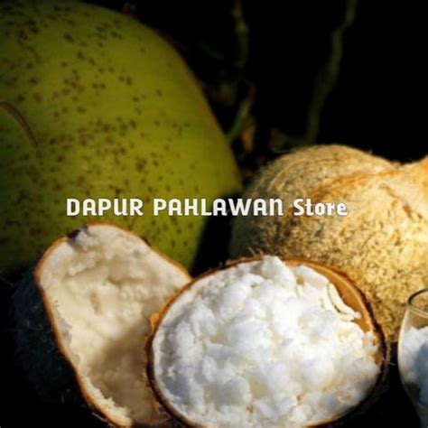 Jual Buah Kelapa Kopyor Besar Asli Sumenep Madura Bergaransi S Kab