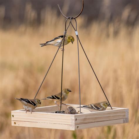 Amazon Perky Pet Hanging Tray Bird Feeder Garden Outdoor