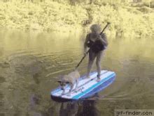 paddle gifs tenor