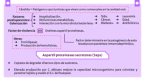 SOLUTION Candidiasis En Inmuno Deprimidos Microbiolog A Studypool