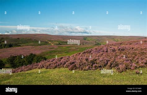 color on the hills south Yorkshire landscape over the moors Stock Photo ...