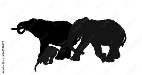 Herd of elephants family drink water vector silhouette illustration isolated on white background ...