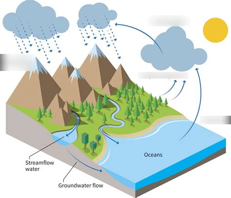 Hydrosphere EOG Review - Science 5 Diagram | Quizlet