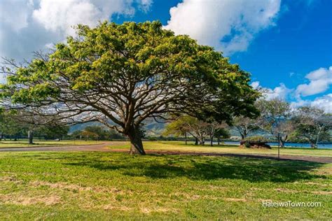 Kaiaka Bay Beach Park (Camping & Visitor Guide) - Haleiwa Town