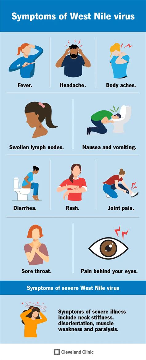 Lääne Niiluse Viirus Sümptomid Ravi Ja Ennetamine SFOMC