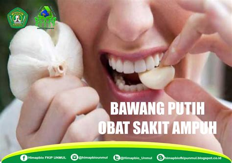 Bawang Putih Obat Sakit Gigi Ampuh