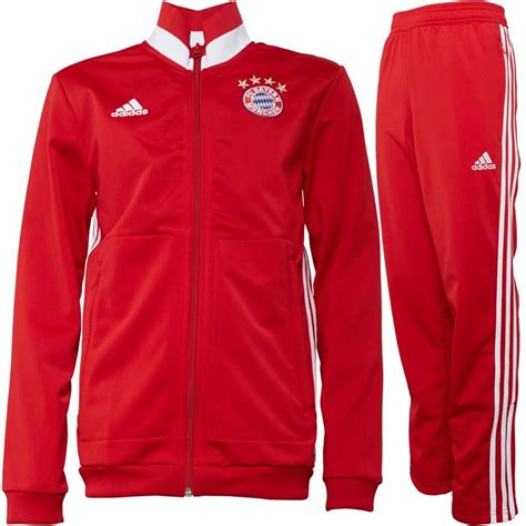 Adidas Jungen Fc Bayern Munich Presentation Trainingsanzug Rot