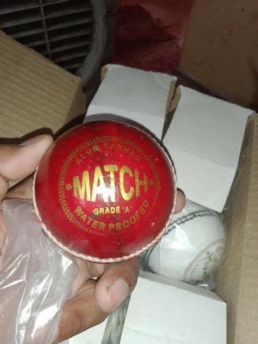 Leather Cricket Ball at Rs 200 | Meerut | ID: 2851437660462