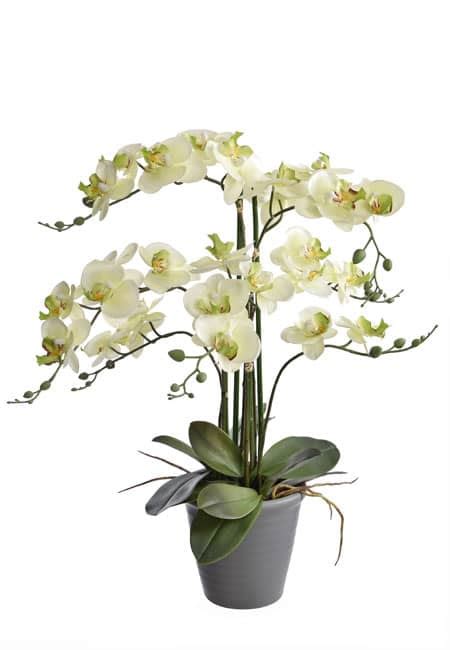 Künstliche Orchideen online kaufen wie echt wirken