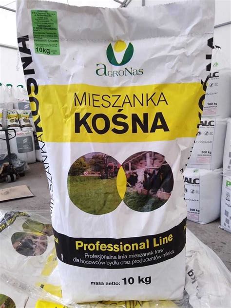 Mieszanka Gorzowska mieszanka poplonowa mieszanka traw 20 kg Czyżew