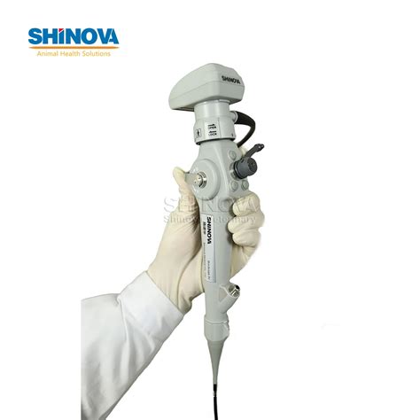 Veterinary Bronchoscope Mobile Veterinary Video Endoscope With