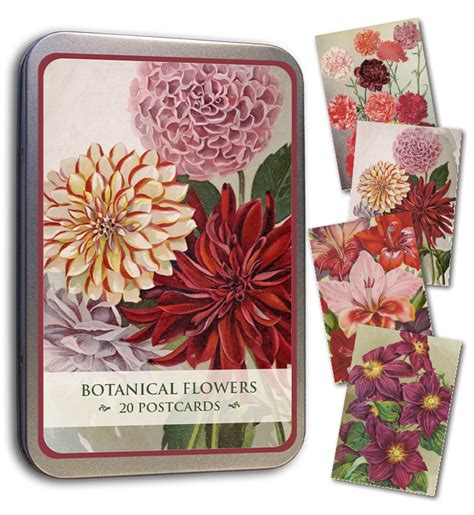 Sk Na Ting Botanical Flowers St Vykort I Vacker Pl Task Bokv Nnen