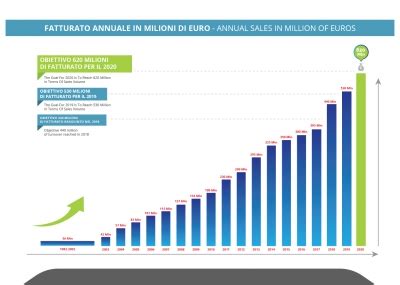 Il Fatturato E Lo Sviluppo Futuro