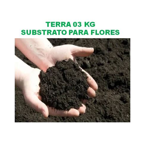 Terra De 03kg Para Flores Plantas Vasos Jardins Suculentas