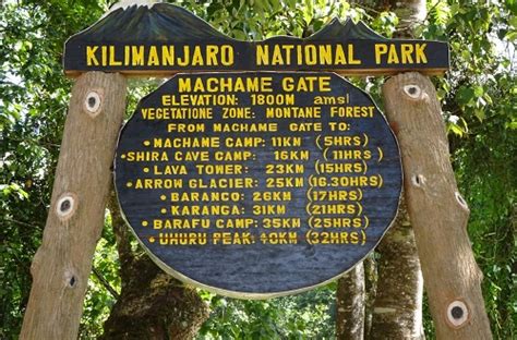 Best Kilimanjaro S Machame Route And