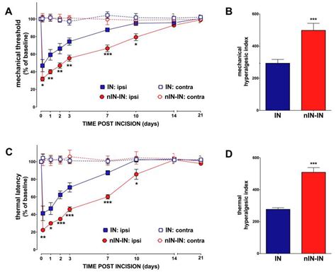 Targeting P38 Mitogen Activated Protein Kinase To Reduce The Impact Of