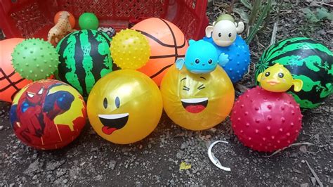 Mencari Dan Melempar Bola Warna Warni Di Keranjang Bola Basket Bola