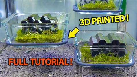 Creating Floating Aquarium Platforms Using 3d Printing Full Tutorial