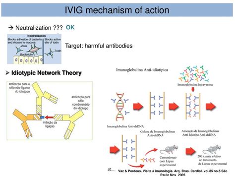 PPT IVIG Intravenous Immunoglobulin PowerPoint Presentation Free