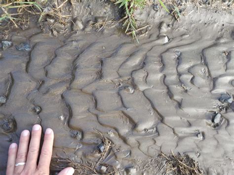 The Channeled Scablands – Historical Geology