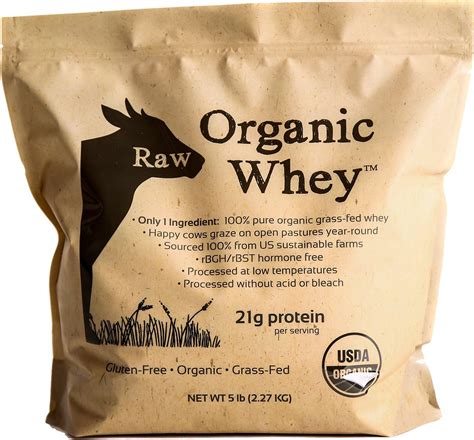 10 Best Whey Protein Powders without Artificial Sweeteners - Flab Fix