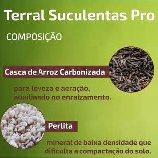 Terral Pro L Substrato Profissional Para Cactos Suculentas E Rosa