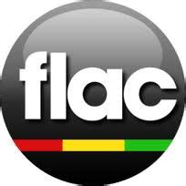 Cuál es la diferencia entre MP3 y FLAC - Qore