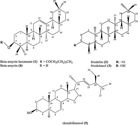 Triterpene Structure