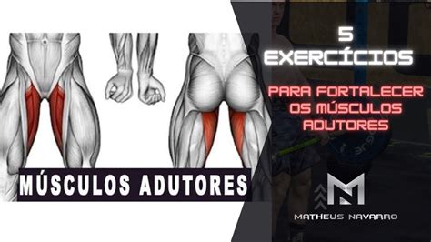 5 exercícios para os músculos ADUTORES da coxa sem uso de máquina