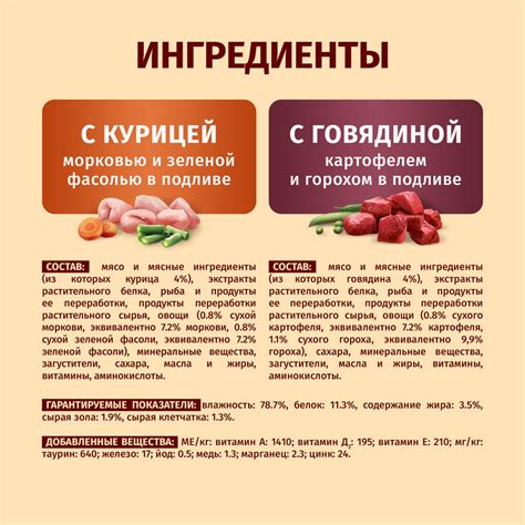 Влажный корм Purina ONE® MINI | Purina ONE