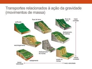 G Nese Morfologia E Evolu O Das Paisagens Tropicais Ppt