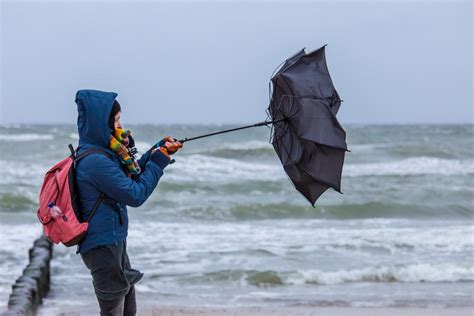 Special weather statement issued for Halifax area : r/halifax