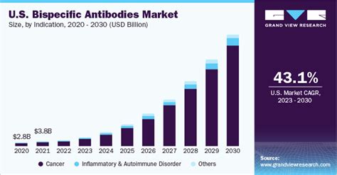 Bispecific Antibodies Market Size And Share Report 2030