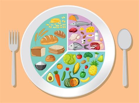 Premium Vector | Balanced Diet Food Plate Illustration