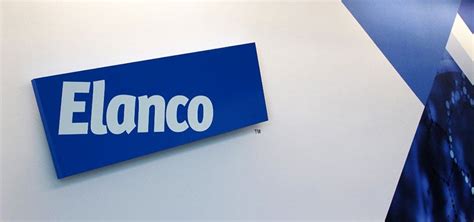 About Elanco | Products and Solutions to enhance Animal Health