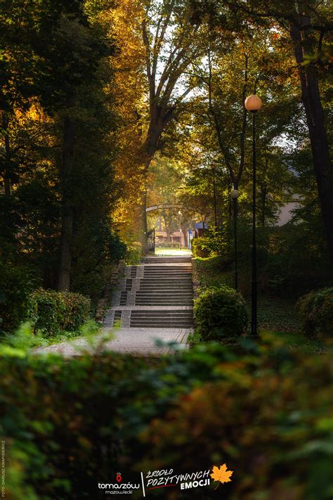 Park Solidarność już wkrótce odzyska dawny blask Tomaszów