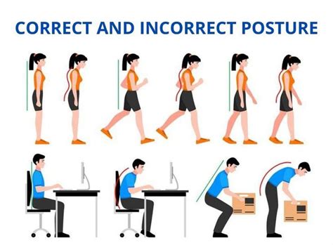 Healthy Posture Guidelines Ep Wellness And Functional Medicine