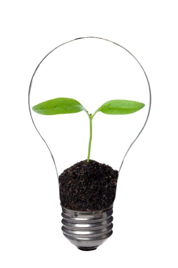 Light Bulb With Plant Inside Natural Warming Idea Process PNG