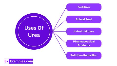 Urea CH₄N₂O Definition Structure Preparation Properties Uses