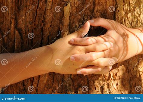 I Love Trees Stock Photo Image Of Love Grip Garden 9222228