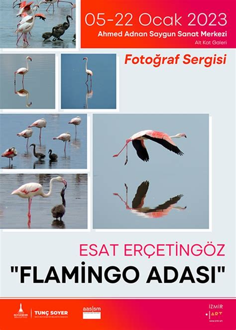 FLAMİNGO ADASI Fotoğraf Sergisi Esat Erçetingöz 22 Ocak 2023