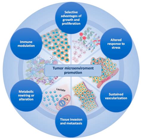 Biomedicines Free Full Text The Hallmarks Of Glioblastoma