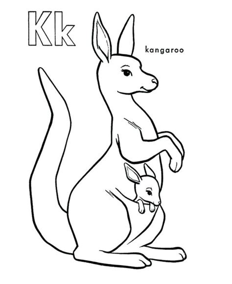 Baby Kangaroo Coloring Page Images And Photos Finder