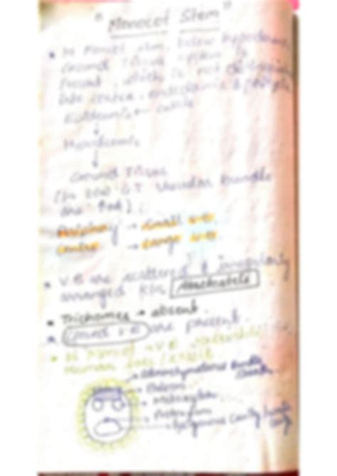 Solution Anatomy Of Dicot Monocot Root Stem Leaf Studypool