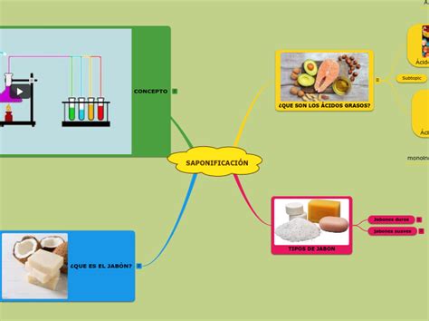 SaponificaciÓn Mind Map