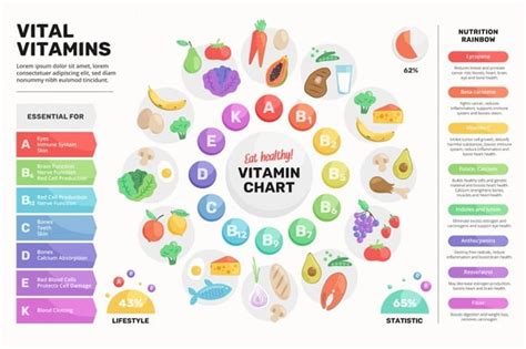 Vitamin Untuk Tubuh Jenis Manfaat Dan Sumbernya